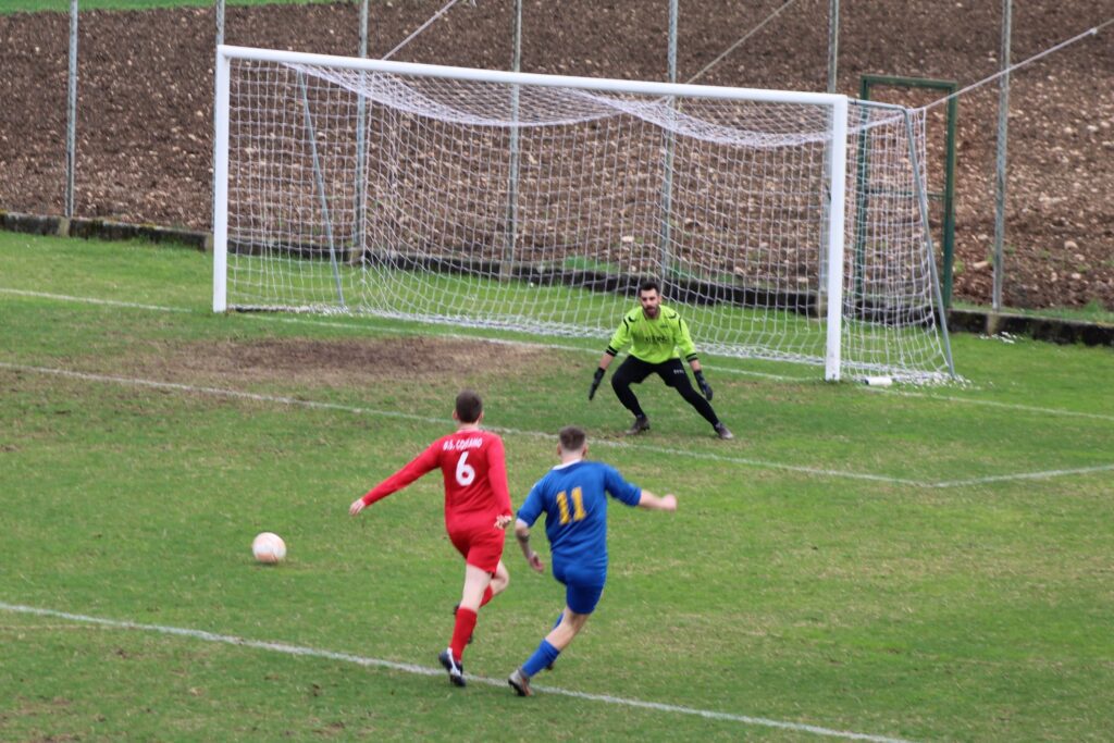 COSEANO-ARZINO 1-1(13)