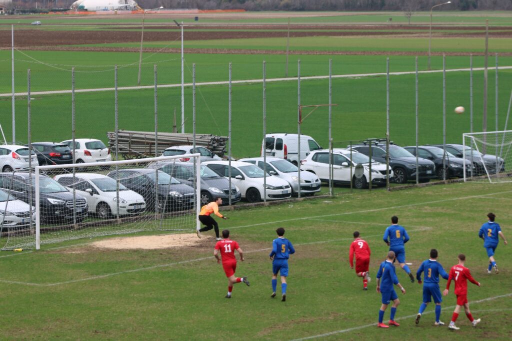 COSEANO-ARZINO 1-1(18)