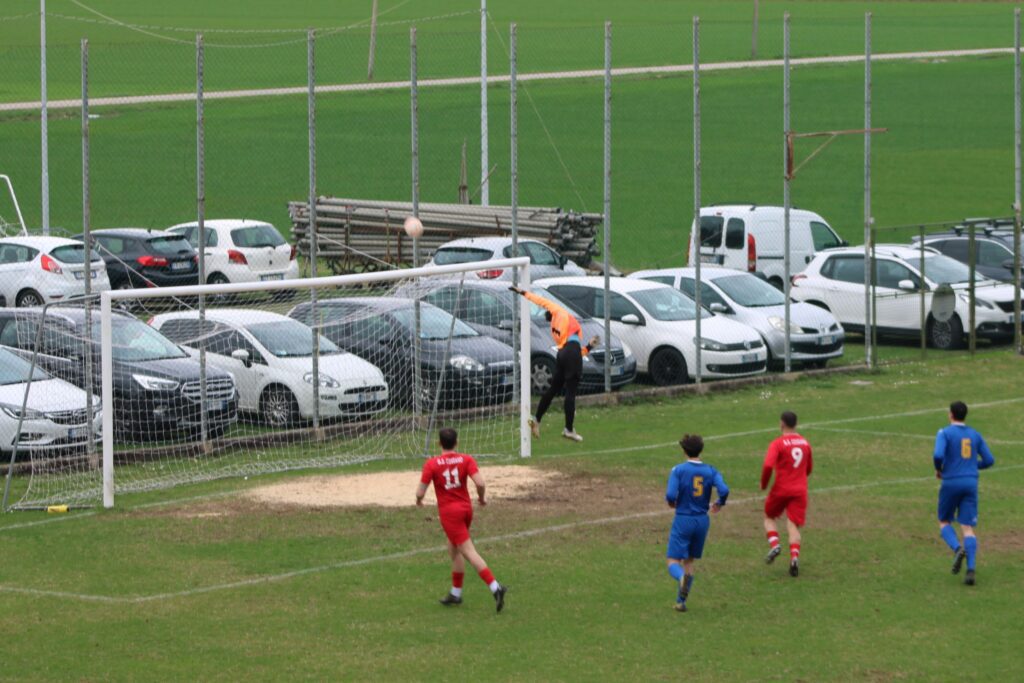 COSEANO-ARZINO 1-1(19)