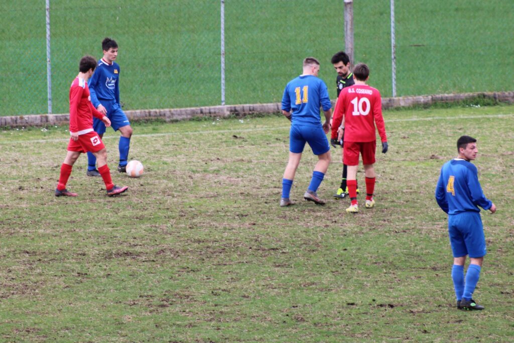 COSEANO-ARZINO 1-1(20)