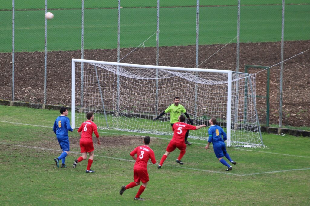 COSEANO-ARZINO 1-1(22)