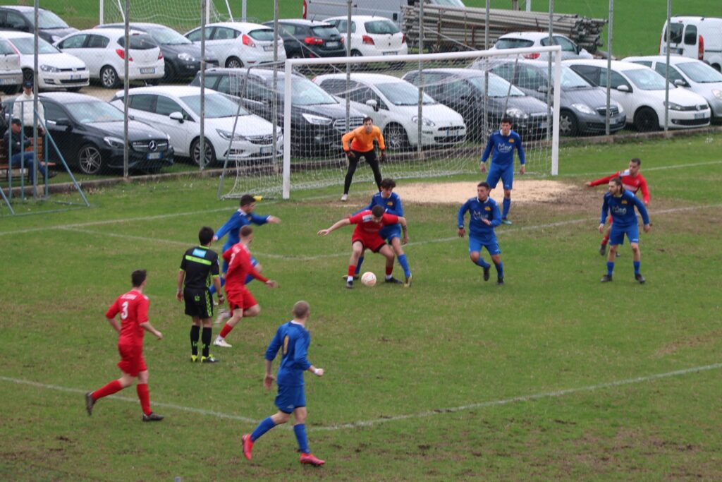 COSEANO-ARZINO 1-1(27)