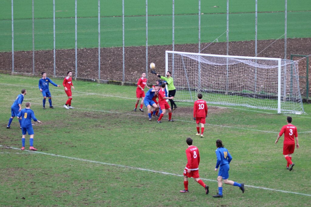 COSEANO-ARZINO 1-1(31)