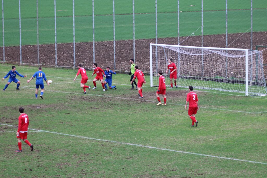 COSEANO-ARZINO 1-1(33)