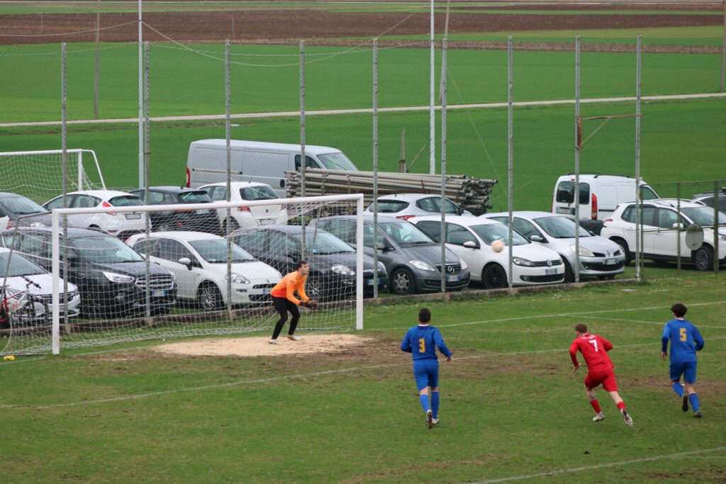 COSEANO-ARZINO 1-1(48)