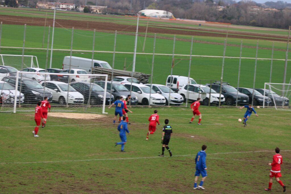 COSEANO-ARZINO 1-1(60)