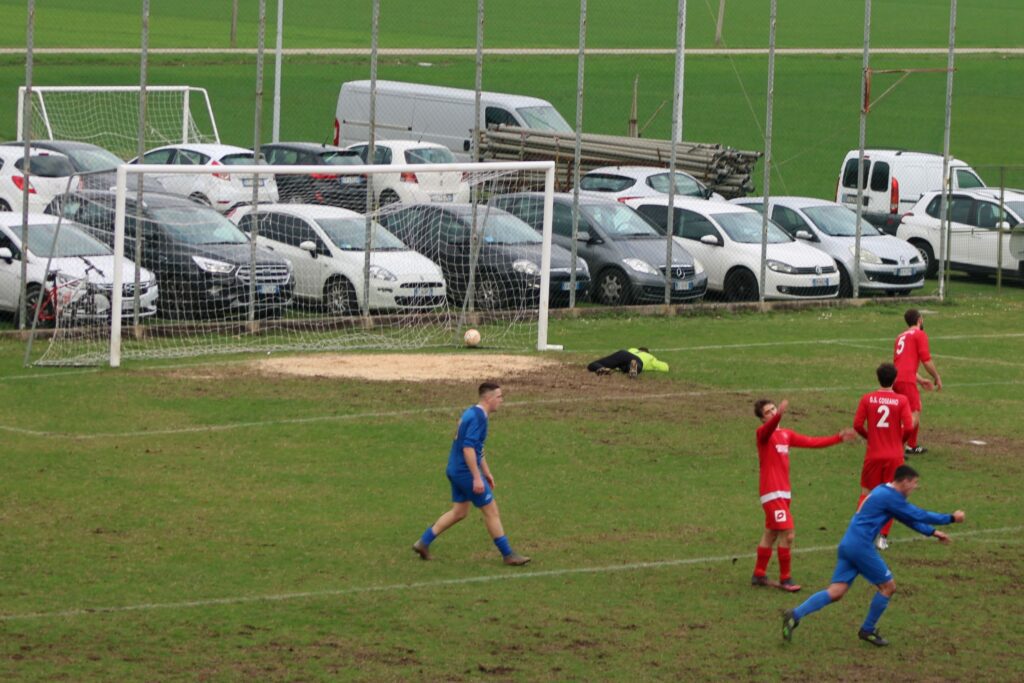 COSEANO-ARZINO 1-1(64)