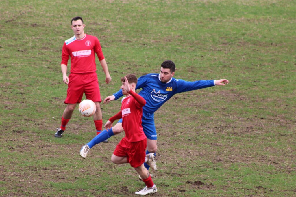 COSEANO-ARZINO 1-1(7)